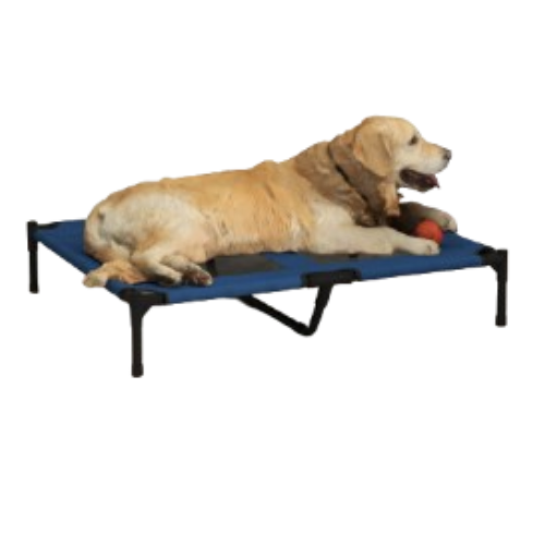Elevated Cooling Dog Cot Bed 36" x 30" - Breathable Mesh Outdoor Pet Bed