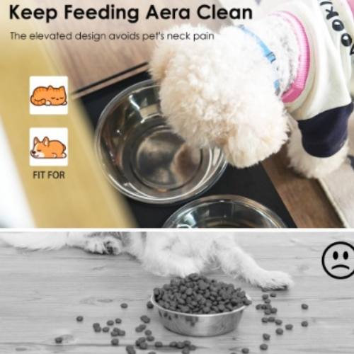 Elevated Pet Feeding Station with Storage Cabinet - 2 Stainless Steel Bowls