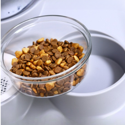 Wireless Automatic Pet Water Dispenser | Portable Drinking Fountain for Dogs & Cats